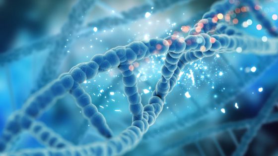 Pharmakogenetik für die Behandlung der niedrigen ovariellen Reaktion