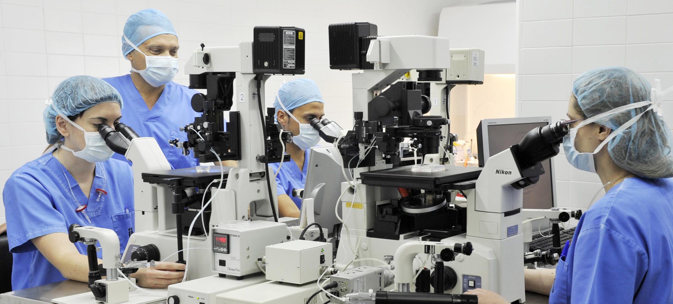 IVF oder ICSI Instituto Bernabeu
