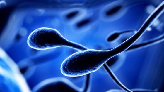 Oligozoospermia: ¿Qué es?, ¿cómo detectarla?, ¿qué tratamiento seguir para lograr embarazo?, ¿y la criptozoospermia?