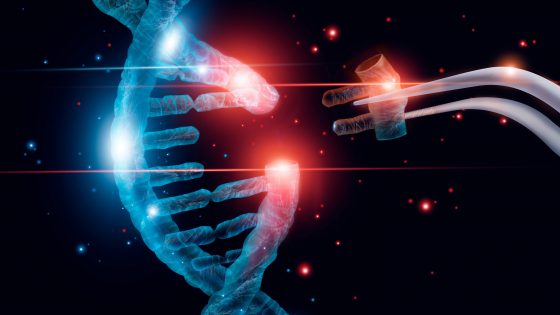 Anomalie cromosomiche strutturali In che modo influenzano l’embrione e il paziente portatore?