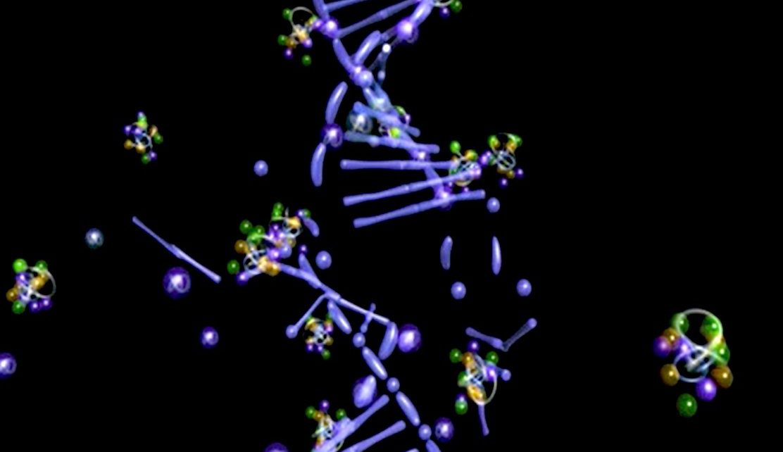 Die Genetische Kompabilität mit dem Partner