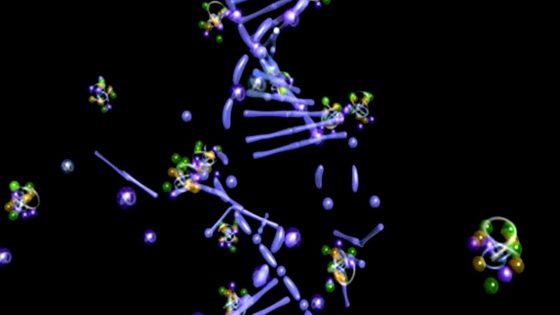 La compatibilità genetica nella coppia