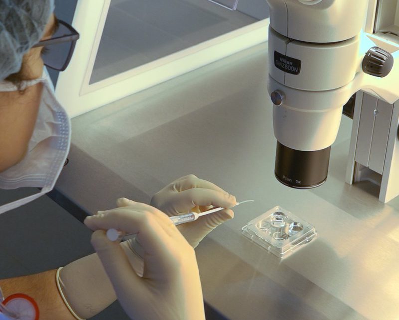 ¿Es eficaz el medio de cultivo EmbryoGlue® utilizado durante el desarrollo de los embriones?