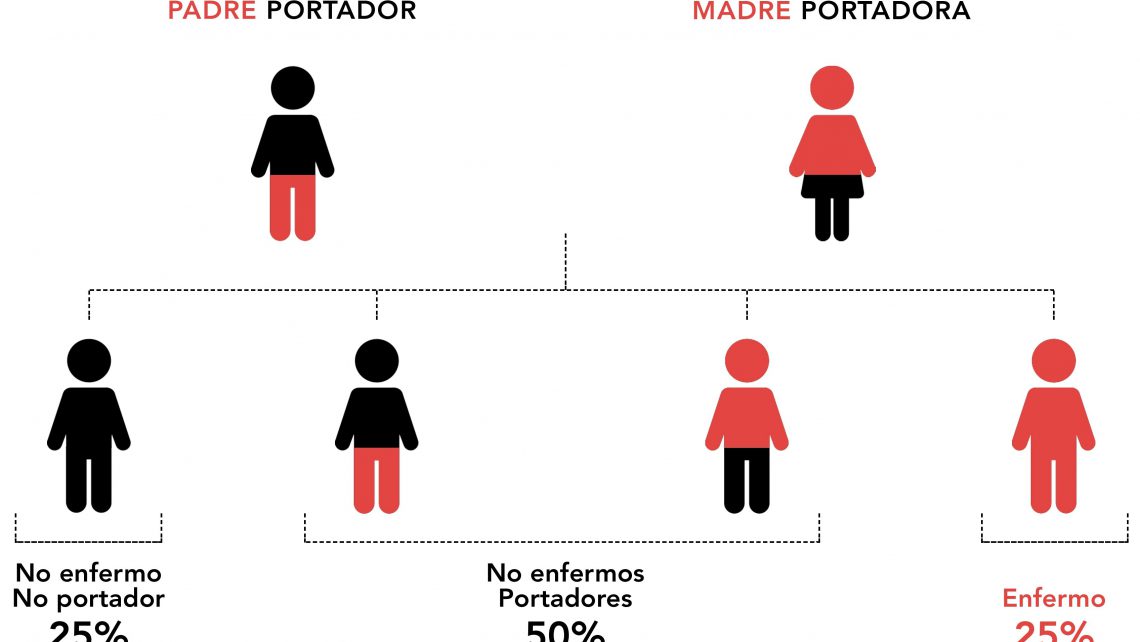 Las 600 enfermedades recesivas que detecta el Test de Compatibilidad Genética (TCG)