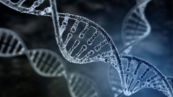 Baja respuesta ovárica: avances en genética