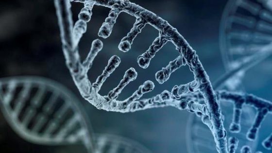 La importancia del ADN en nuestra vida: 25 de abril Día Mundial del ADN