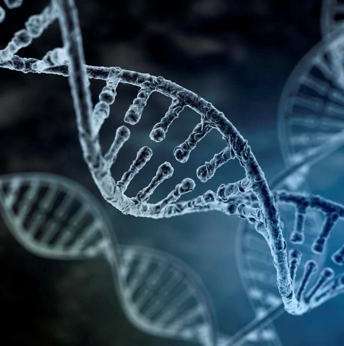 L’importanza del DNA nella nostra vita: 25 aprile, Giornata Mondiale del DNA - Instituto Bernabeu