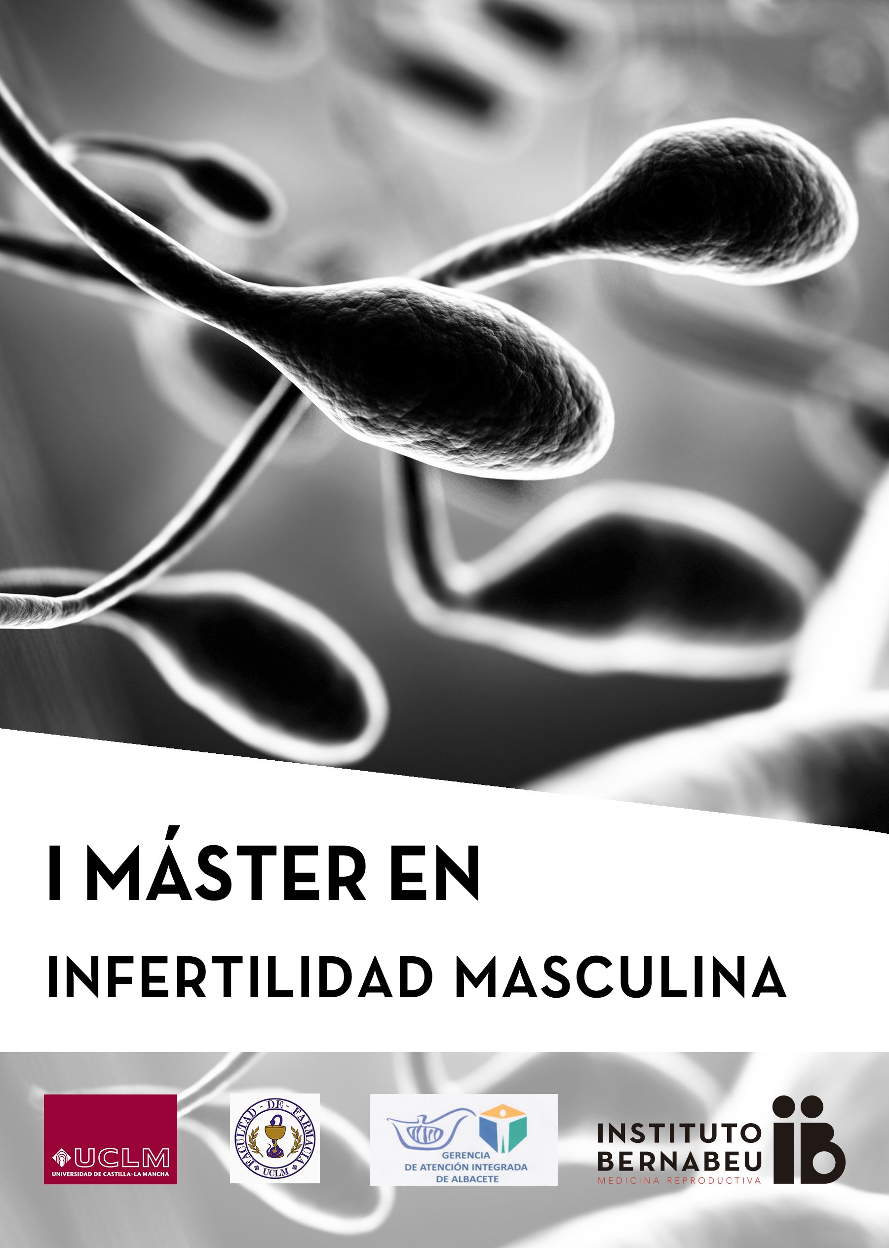 I Edition of the Master’s Course in Male Infertility