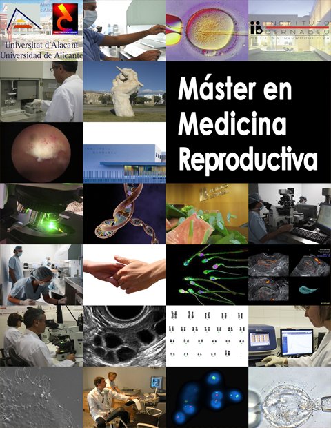 Master universitario en medicina reproductiva