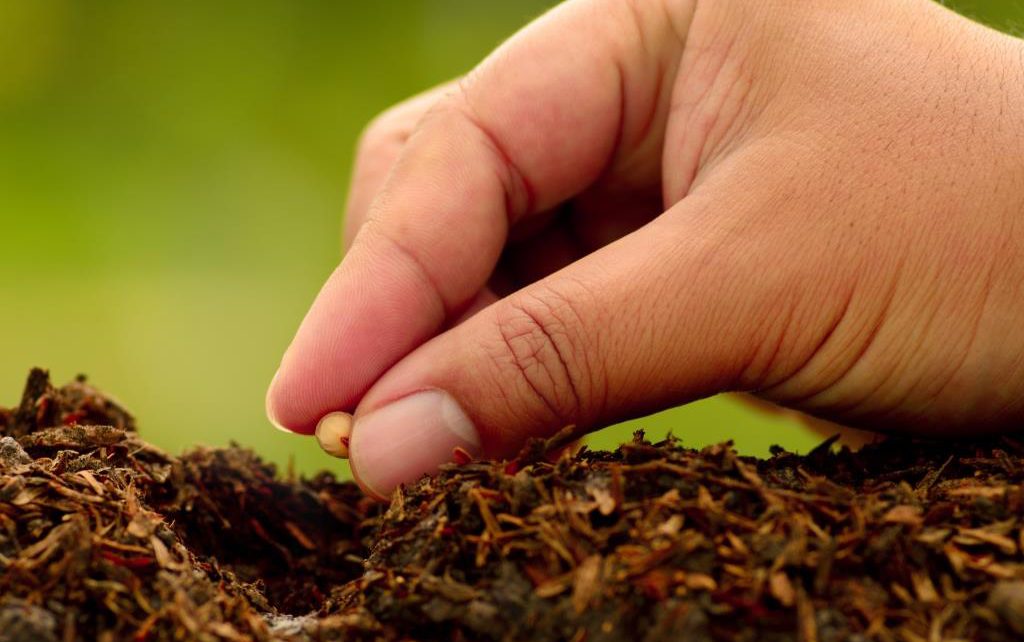 ¿Ayuda la hormona DHEA a aumentar la respuesta ovárica frente a un tratamiento de fertilidad?