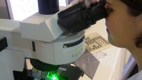 Fragiles X-Syndrom und Fruchtbarkeit