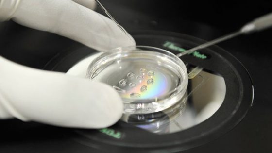 ¿Óvulos y espermatozoides artificiales a partir de células madre?