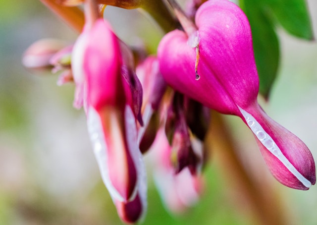 Quels facteurs peuvent causer un saignement en dehors de la menstruation?