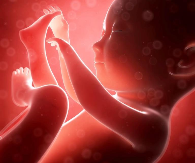 ¿Puede influir el sistema inmunológico en los fallos de implantación y abortos de repetición?