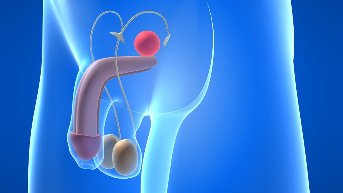 Teratozoospermia e infertilidad masculina