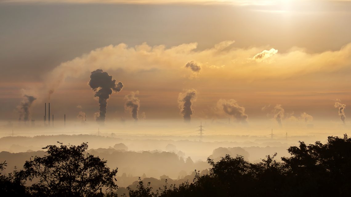 Efecto de la contaminación ambiental en el desarrollo de gametos y embriones