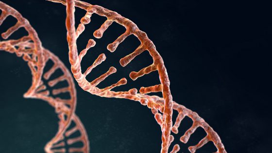 Che cos’è la diagnosi genetica preimpianto PGD?è indicato sempre?