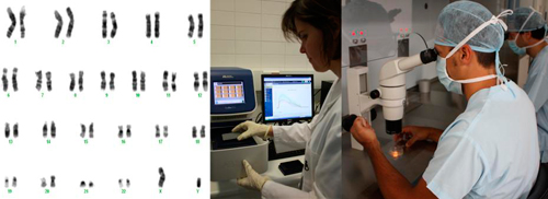 Genetic approach to embryo implantation failure and repeated miscarriage