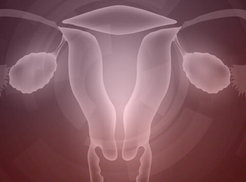 Dal ringiovanimento ovarico all’attivazione del follicolo, strategie per pazienti con bassa riserva ovarica