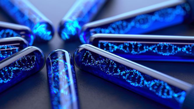 Chromosomal alterations in repeated miscarriages