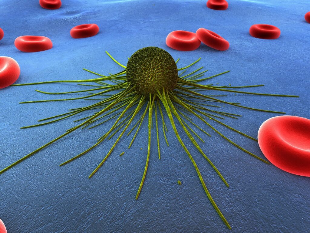 Est-ce que la stimulation ovarienne de la fécondation in vitro augmente le risque de cancer? - Instituto Bernabeu