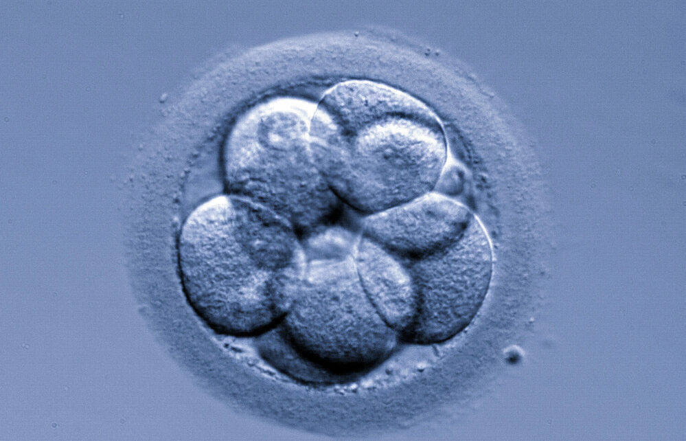 Why aren’t all embryos obtained from an IVF cycle suitable for freezing?