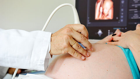 Embarazo y obstetricia
