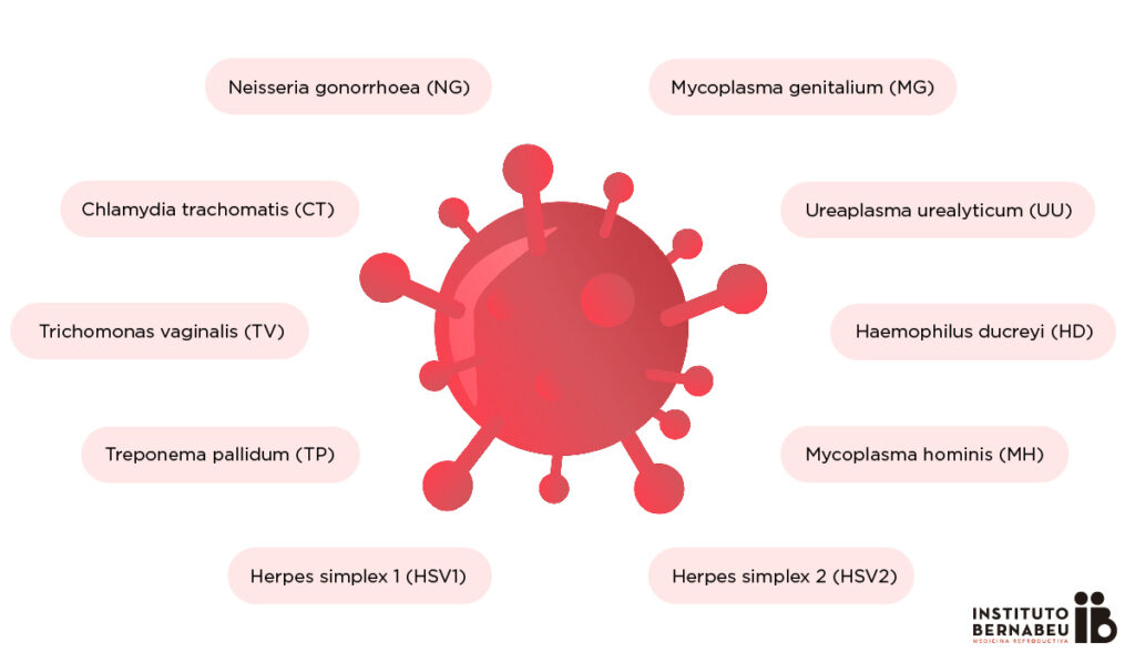 Main Sexually Transmitted Diseases (STDs) and fertility - Instituto Bernabeu