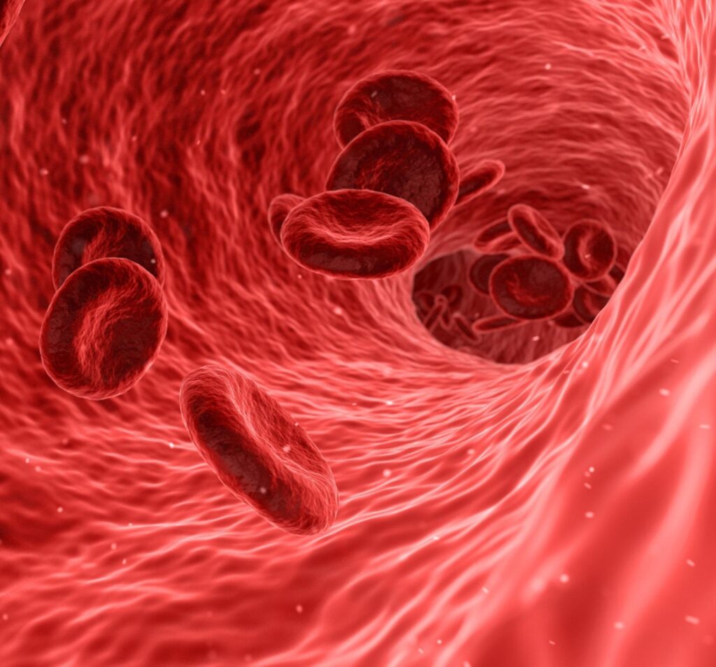 Nutzung der Wachstumsfaktoren von thrombozytenreichem Plasma (PRP) bei Implantationsfehlern und bei feinen Endometrien - Instituto Bernabeu