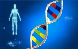 Genetic karyotype
