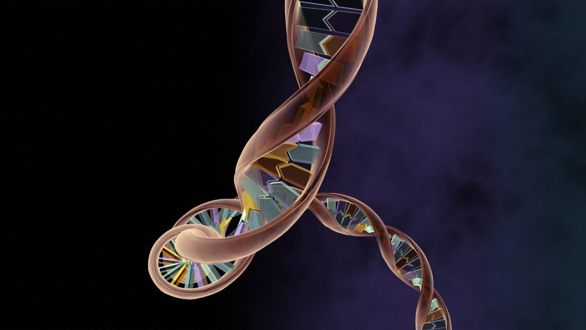 Investigación: “Mejora del éxito en tratamientos de ovodonación con nuestro cribado cromosómico”