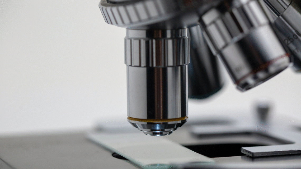 Diferencias entre Inseminación Artificial y Fertilización in Vitro