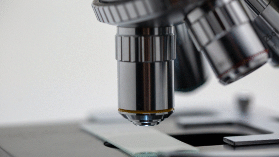Diferencias entre Inseminación Artificial y Fertilización in Vitro