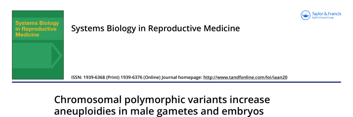 Chromosomal polymorphic variants increase aneuploidies in male gametes and embryos