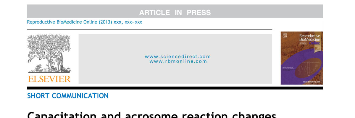 Capacitation and acrosome reaction changes α-tubulin immunodistribution in human spermatozoa