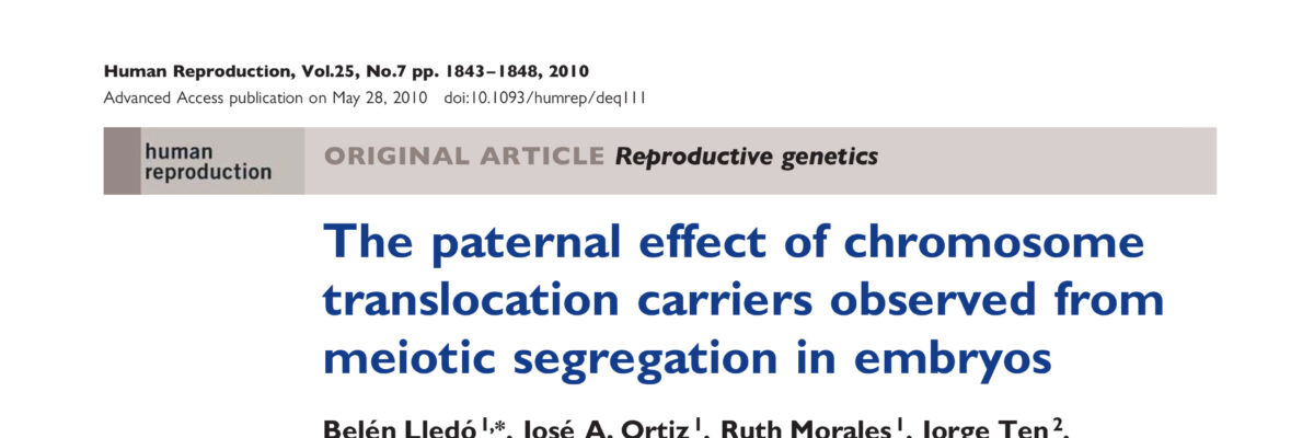The paternal effect of chromosome translocation carriers observed from meiotic segregation in embryos