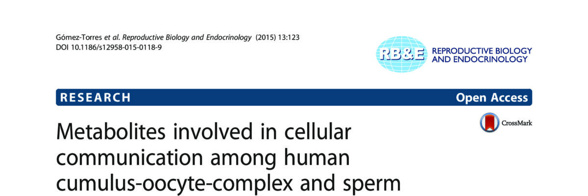 Metabolites involved in cellular communication among human cumulus-oocyte-complex and sperm during in vitro fertilization