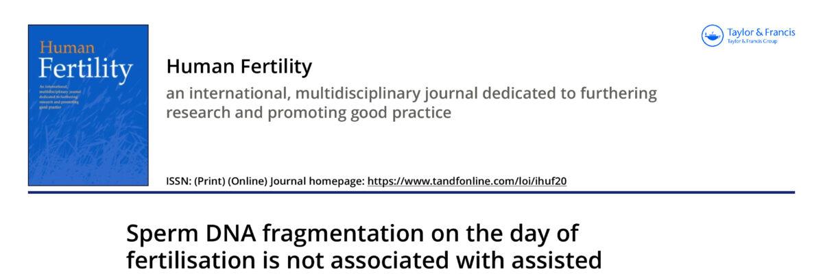 Sperm DNA fragmentation on the day of fertilisation is not associated with assisted reproductive technique outcome independently of gamete quality