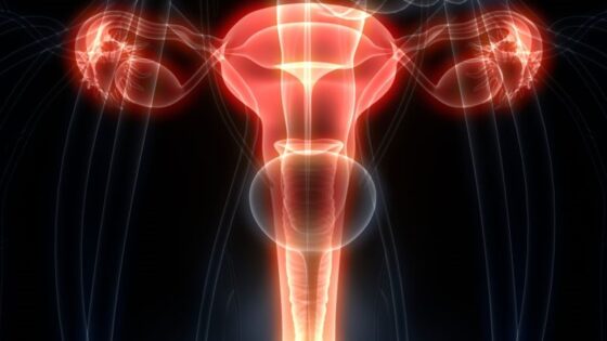 Was ist das Endometrium?