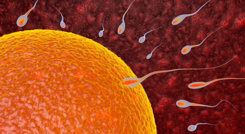 Inseminazione artificiale fatta in casa