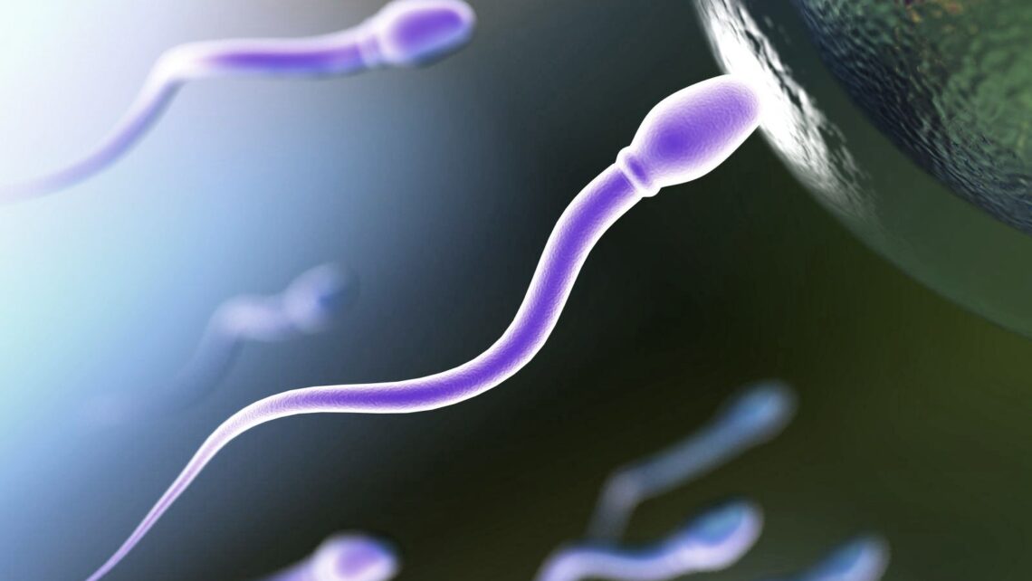 “Biomarker der Ovarreserve und Eizellqualität”. Vortrag von Dr. Ll. Aparicio