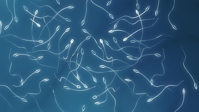 Male Fertility Surgery