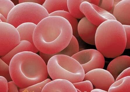 Beta- Thalassemia study: Expansion of IB Biotech services.