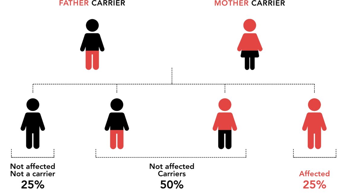 The 600 recessive disorders detected by the Genetic Compatibility Test (GCT)