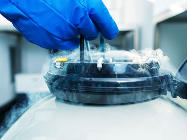 The importance of freezing techniques during COVID-19 pandemic