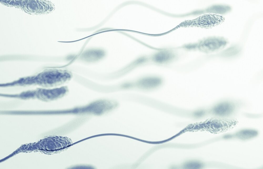 Seminal culture: sperm culture