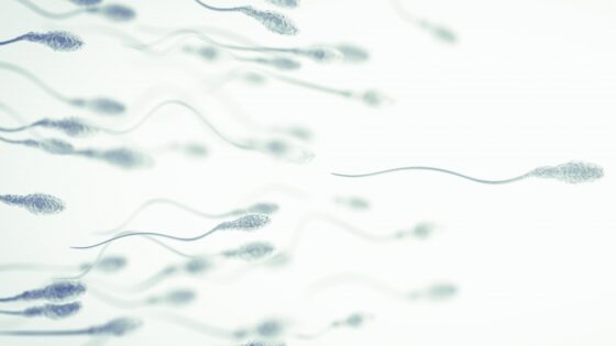 Sperm capacitation