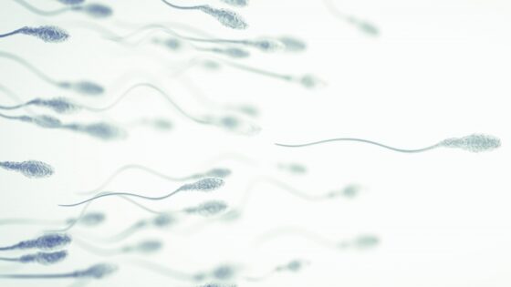 Ipospermia: Come diagnosticarla? come influisce sulla fertilità?