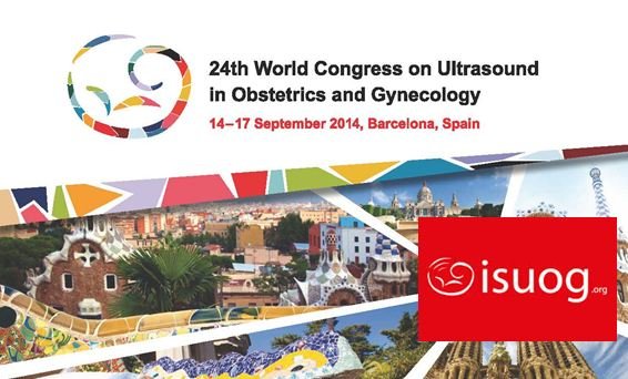 Three ultrasound research papers submitted for the world congress of gynaecological ultrasound