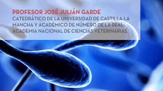 Jornada para profesionales: “Calidad espermática y fertilidad: competencia espermática”